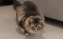 emoji_74 animated GIF emoji from 𝑻𝒉𝒆 𝑨𝒓𝒄𝒉𝒊𝒗𝒂𝒍 𝑺𝒐𝒄𝒊𝒂𝒍 𝑯𝒖𝒃