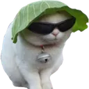 emoji_74