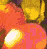 twerk2 animated emote from SOULIS