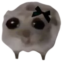 GothHampster