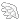White_Wing
