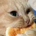 catnom