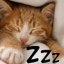 CatSnooze
