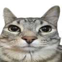 seriously Discord Emoji - /nerdy