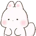 bunnynod