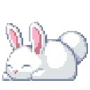 whitebunny