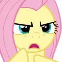 FS_Cross Discord emoji