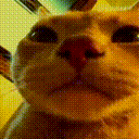 1499vibecat