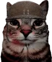 51736soldjacat
