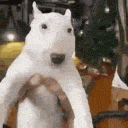mDog animated Discord emote | -`.napatron.´-