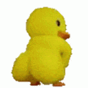 dDuck animated GIF emoji - -`.napatron.´-