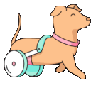 dog animated GIF emoji from B L U E H A V E N ⚓