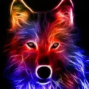RainbowWolf