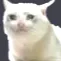 SadCat