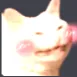 HappyCat