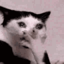 emoji_73 animated emote | Chaos Cave