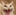 :c_1catevil: