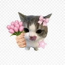 emoji_35 custom emote | ✧･ﾟ: ✧ 𝑺𝒕𝒂𝒓𝑬𝒏𝒕𝒆𝒓𝒏𝒂𝒍 ✧ :･ﾟ✧