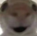 UwU Discord Emoji - Yoyolee