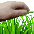 touchgrass
