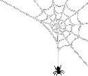 SpiderWeb animated GIF emoji | sticker