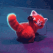 red_panda_butt animated GIF emoji - 𝕿𝖍𝖊 𝕮𝖆𝖚𝖑𝖉𝖗𝖔𝖓