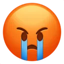 :AngryCrying: