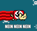 neicat
