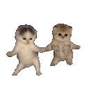 296917kittydance