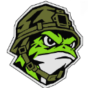 A green frog wearing a military combat helmet with an angry, serious expression.