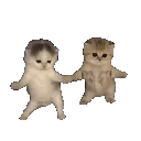 kittydance