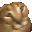floppashake animated emote from AMGG (a multi game group)