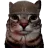 A cat wearing a brown beanie stares directly forward with a suspicious and judgmental expression.