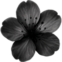 black Discord Emoji from /fluence