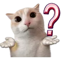 catQMark