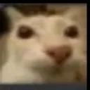 chillcar