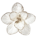 006_flower custom emote | Deco 2!