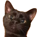 emoji_7