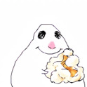 :236277onepopcornhamster: