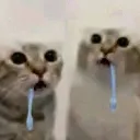 FW_Drool2