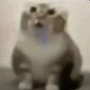 FW_Drool1