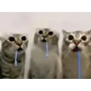 FW_Drool3