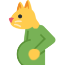 :124758pregnantcat: