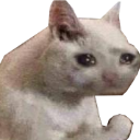 A white and gray cat with large, glossy, tear-filled eyes looking extremely sad.