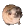 pugdance