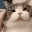 petthepotato animated Discord emote - ⁽¹⁸⁺⁾ miao ୨ৎ
