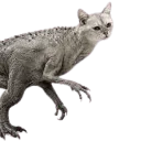 :1520332588995186840: