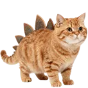 An orange tabby cat with brown stegosaurus plates protruding from its back.