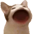 emoji33
