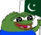 A green frog character smiling and waving a green and white flag.